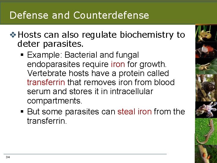 Defense and Counterdefense v Hosts can also regulate biochemistry to deter parasites. § Example: