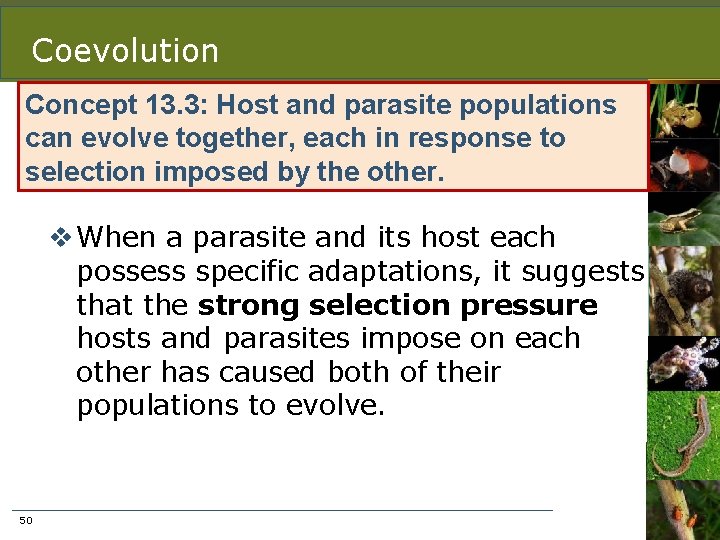 Coevolution Concept 13. 3: Host and parasite populations can evolve together, each in response