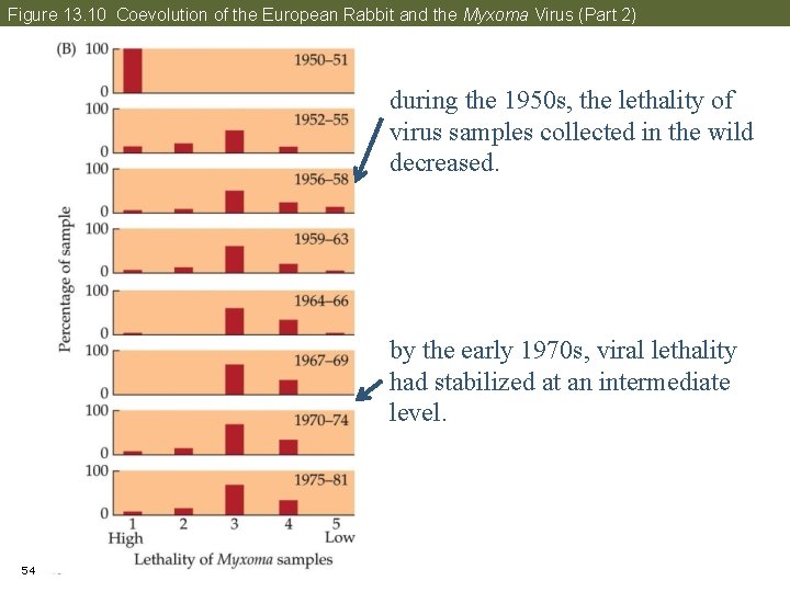 Figure 13. 10 Coevolution of the European Rabbit and the Myxoma Virus (Part 2)