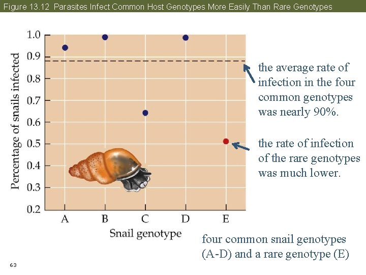 Figure 13. 12 Parasites Infect Common Host Genotypes More Easily Than Rare Genotypes the
