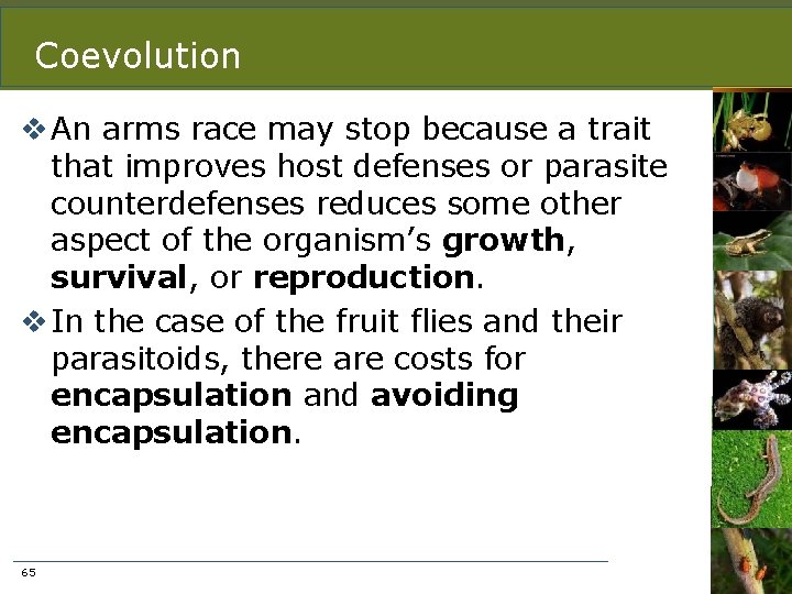 Coevolution v An arms race may stop because a trait that improves host defenses