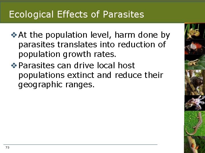 Ecological Effects of Parasites v At the population level, harm done by parasites translates