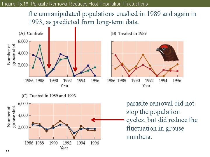 Figure 13. 16 Parasite Removal Reduces Host Population Fluctuations the unmanipulated populations crashed in