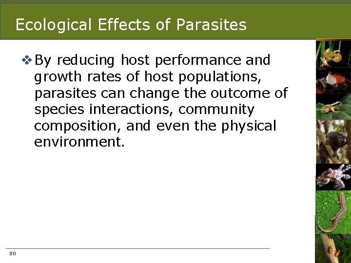 Ecological Effects of Parasites v By reducing host performance and growth rates of host