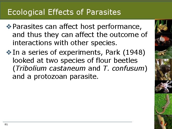 Ecological Effects of Parasites v Parasites can affect host performance, and thus they can