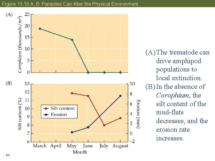 Figure 13. 18 A, B Parasites Can Alter the Physical Environment (A) The trematode