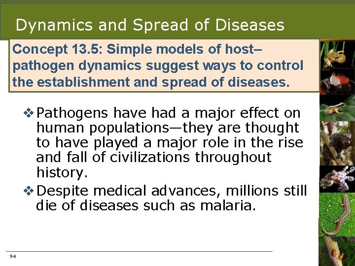 Dynamics and Spread of Diseases Concept 13. 5: Simple models of host– pathogen dynamics