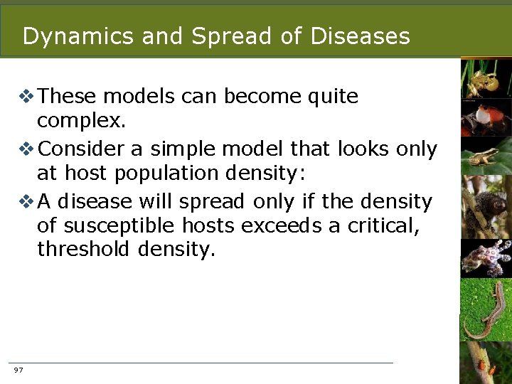 Dynamics and Spread of Diseases v These models can become quite complex. v Consider