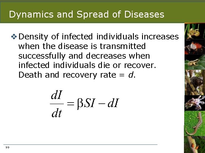 Dynamics and Spread of Diseases v Density of infected individuals increases when the disease