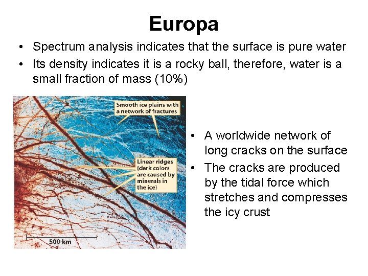 Europa • Spectrum analysis indicates that the surface is pure water • Its density