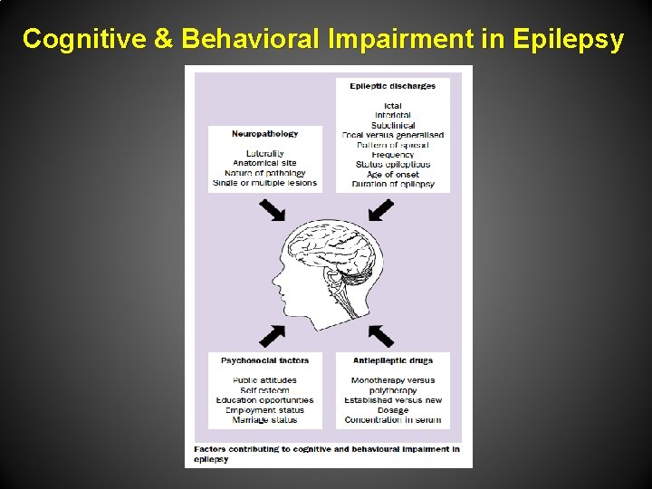 Cognitive & Behavioral Impairment in Epilepsy 