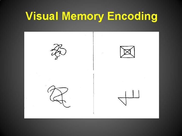 Visual Memory Encoding 