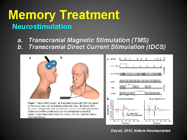 Memory Treatment Neurostimulation a. Transcranial Magnetic Stimulation (TMS) b. Transcranial Direct Current Stimulation (t.