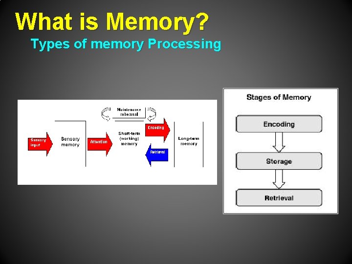 What is Memory? Types of memory Processing 