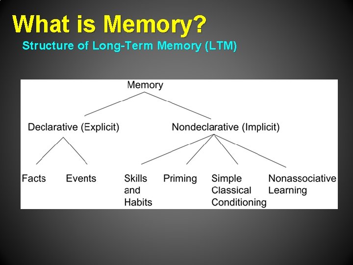 What is Memory? Structure of Long-Term Memory (LTM) 