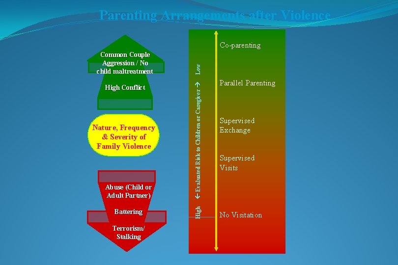 Parenting Arrangements after Violence Abuse (Child or Adult Partner) Evaluated Risk to Children or