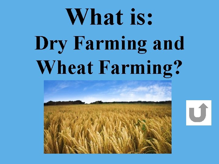 What is: Dry Farming and Wheat Farming? 