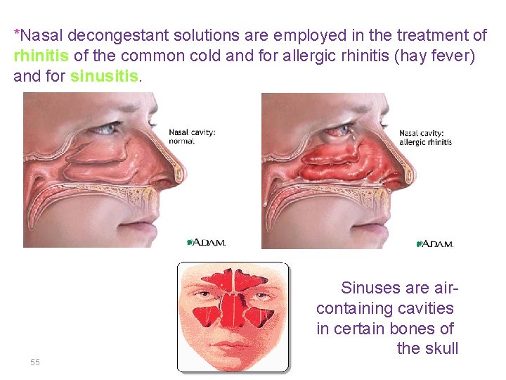 *Nasal decongestant solutions are employed in the treatment of rhinitis of the common cold