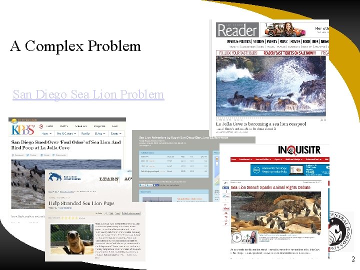 A Complex Problem San Diego Sea Lion Problem 2 