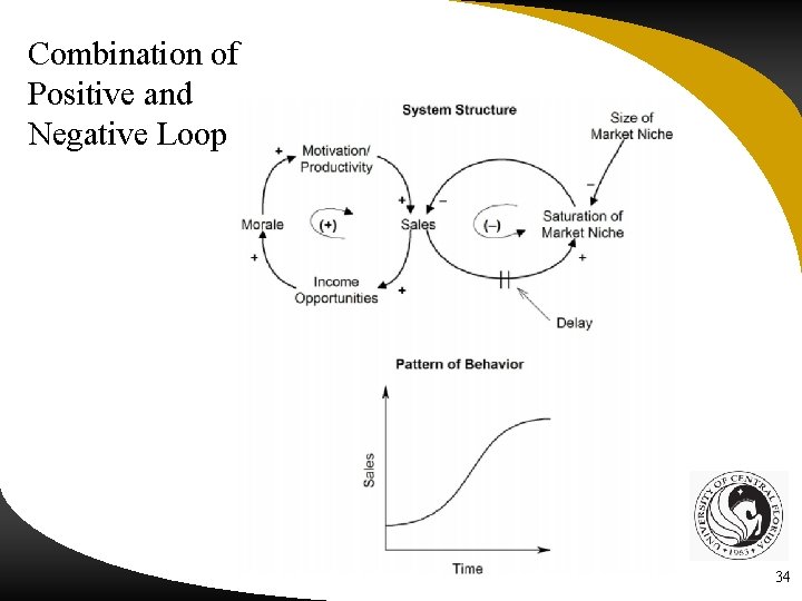 Combination of Positive and Negative Loops 34 