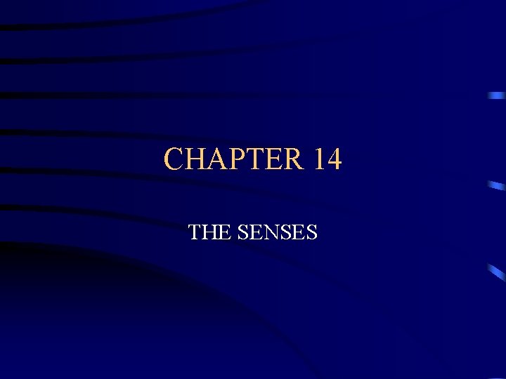 CHAPTER 14 THE SENSES 