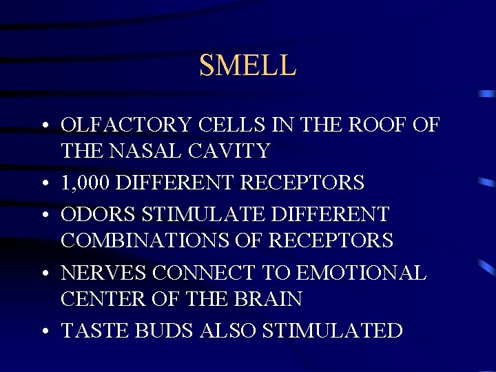 SMELL • OLFACTORY CELLS IN THE ROOF OF THE NASAL CAVITY • 1, 000