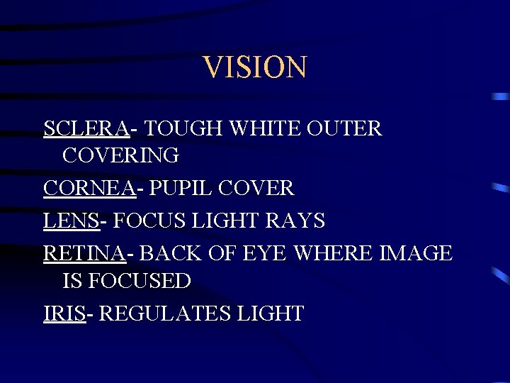 VISION SCLERA- TOUGH WHITE OUTER COVERING CORNEA- PUPIL COVER LENS- FOCUS LIGHT RAYS RETINA-