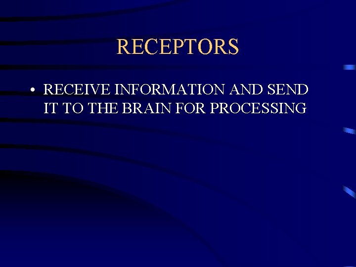 RECEPTORS • RECEIVE INFORMATION AND SEND IT TO THE BRAIN FOR PROCESSING 