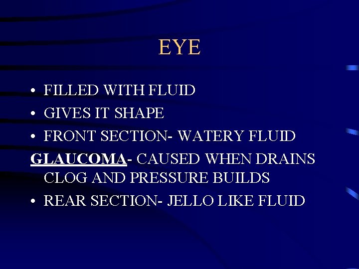 EYE • FILLED WITH FLUID • GIVES IT SHAPE • FRONT SECTION- WATERY FLUID