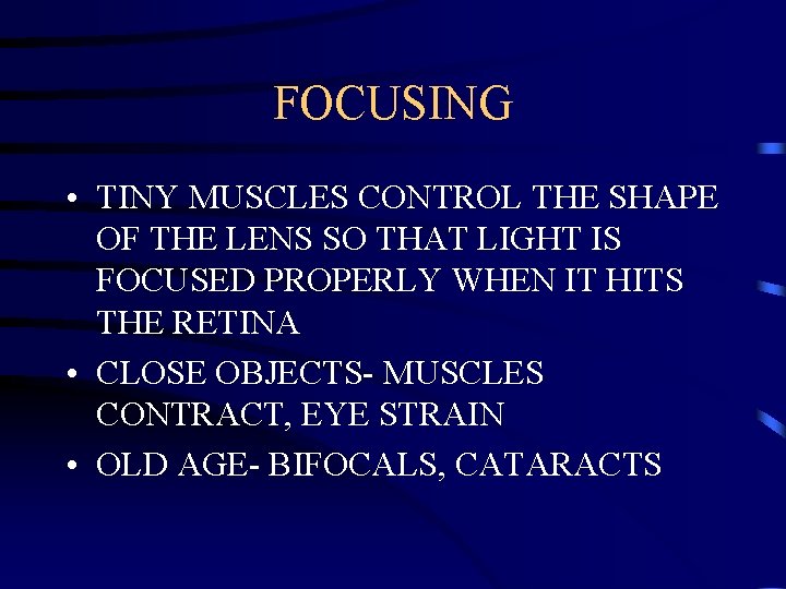 FOCUSING • TINY MUSCLES CONTROL THE SHAPE OF THE LENS SO THAT LIGHT IS