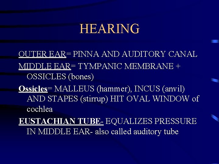 HEARING OUTER EAR= PINNA AND AUDITORY CANAL MIDDLE EAR= TYMPANIC MEMBRANE + OSSICLES (bones)
