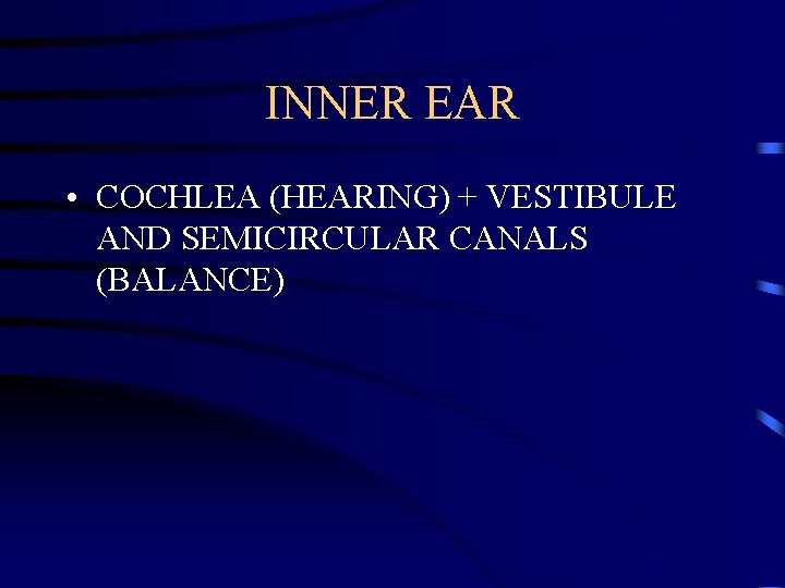 INNER EAR • COCHLEA (HEARING) + VESTIBULE AND SEMICIRCULAR CANALS (BALANCE) 