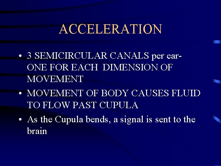 ACCELERATION • 3 SEMICIRCULAR CANALS per ear. ONE FOR EACH DIMENSION OF MOVEMENT •