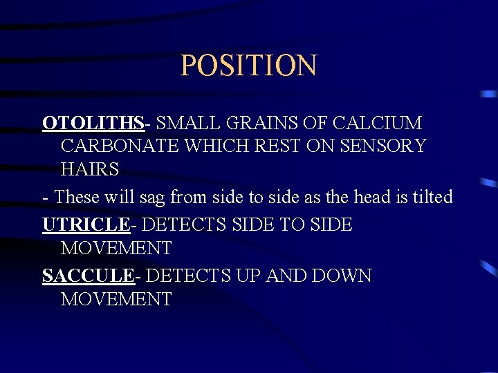POSITION OTOLITHS- SMALL GRAINS OF CALCIUM CARBONATE WHICH REST ON SENSORY HAIRS - These