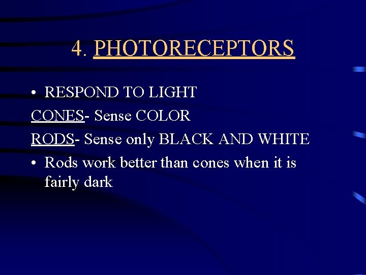 4. PHOTORECEPTORS • RESPOND TO LIGHT CONES- Sense COLOR RODS- Sense only BLACK AND