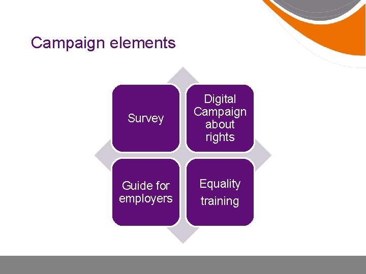 Campaign elements Survey Digital Campaign about rights Guide for employers Equality training 