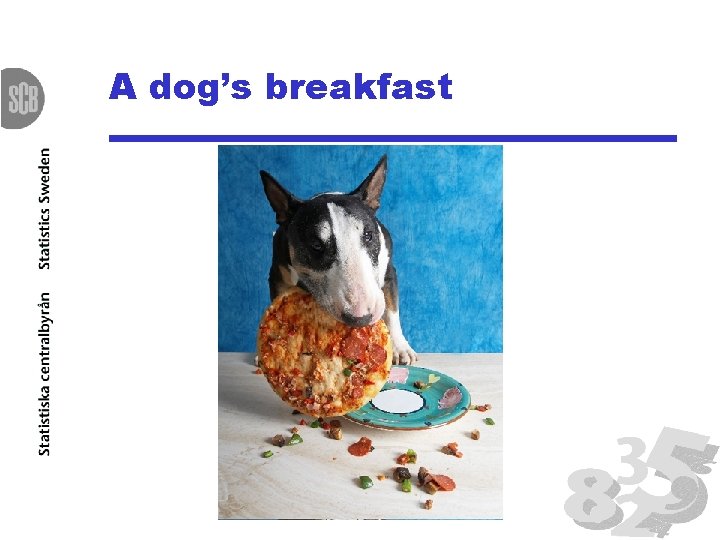 A dog’s breakfast 