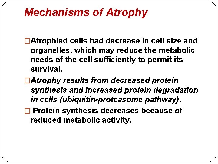 Mechanisms of Atrophy �Atrophied cells had decrease in cell size and organelles, which may Mechanisms of Atrophy �Atrophied cells had decrease in cell size and organelles, which may