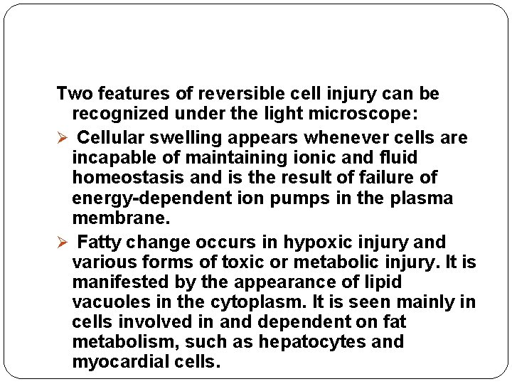 Two features of reversible cell injury can be recognized under the light microscope: Ø Two features of reversible cell injury can be recognized under the light microscope: Ø