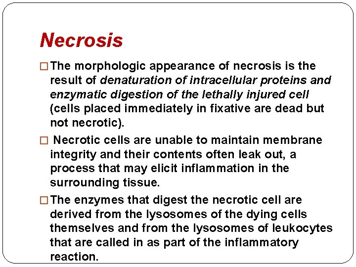 Necrosis � The morphologic appearance of necrosis is the result of denaturation of intracellular Necrosis � The morphologic appearance of necrosis is the result of denaturation of intracellular