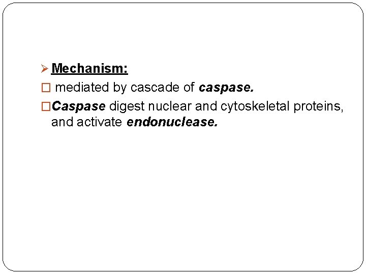 Ø Mechanism: � mediated by cascade of caspase. �Caspase digest nuclear and cytoskeletal proteins, Ø Mechanism: � mediated by cascade of caspase. �Caspase digest nuclear and cytoskeletal proteins,