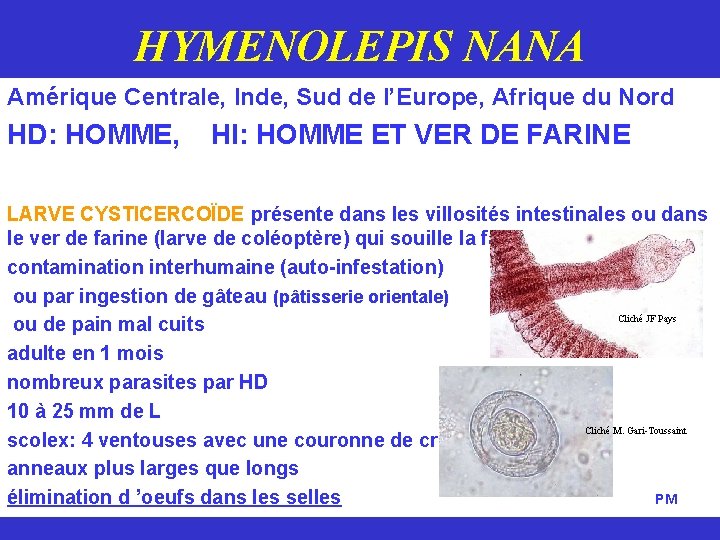 HYMENOLEPIS NANA Amérique Centrale, Inde, Sud de l’Europe, Afrique du Nord HD: HOMME, HI: