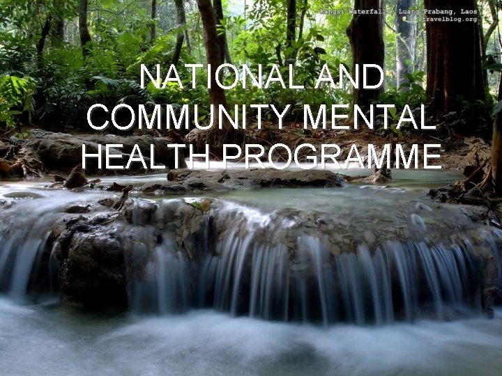 NATIONAL AND COMMUNITY MENTAL HEALTH PROGRAMME 