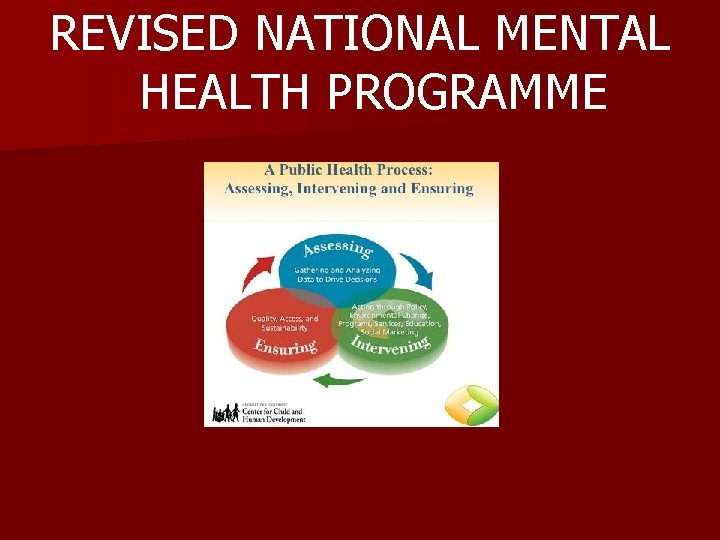 REVISED NATIONAL MENTAL HEALTH PROGRAMME 