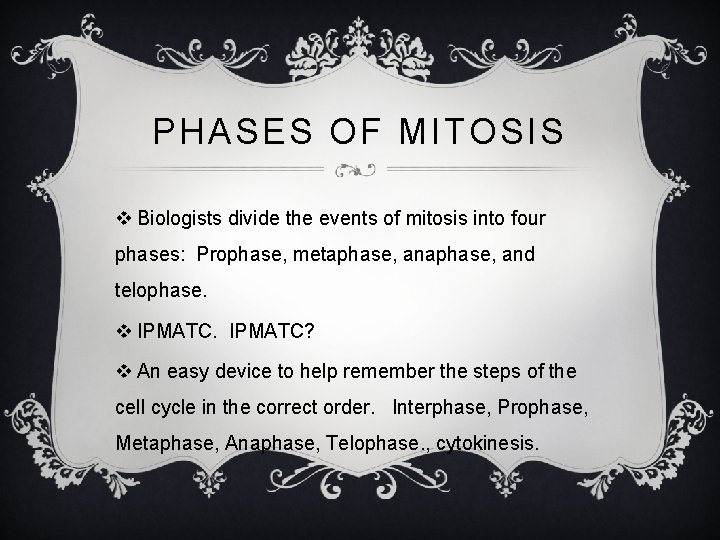 PHASES OF MITOSIS v Biologists divide the events of mitosis into four phases: Prophase,