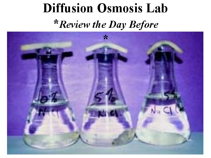 Diffusion Osmosis Lab *Review the Day Before * 