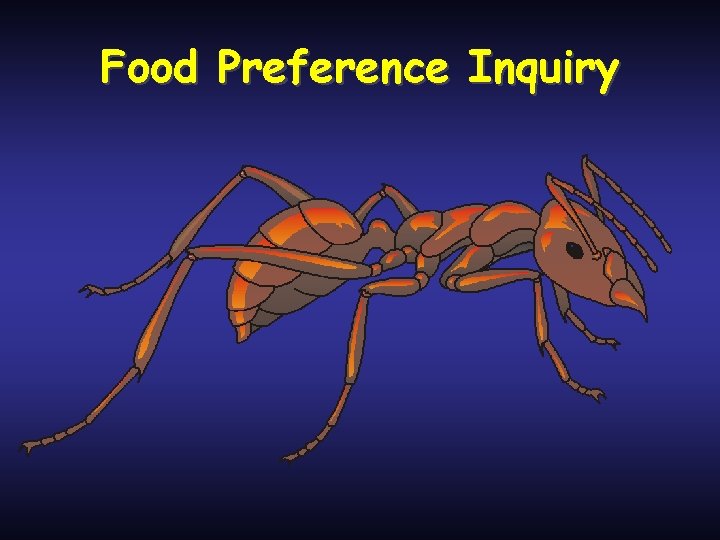 Food Preference Inquiry 