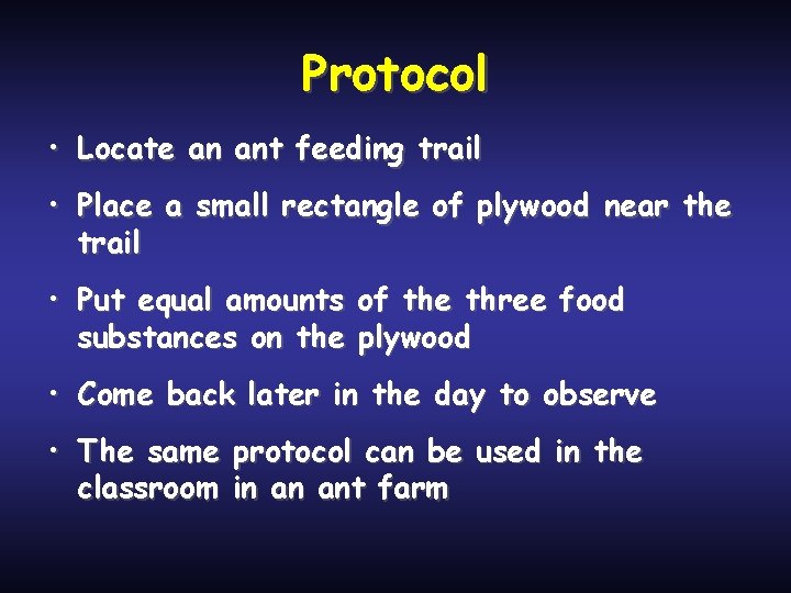 Protocol • Locate an ant feeding trail • Place a small rectangle of plywood