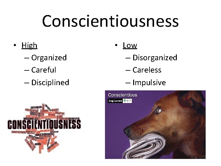 Conscientiousness • High – Organized – Careful – Disciplined • Low – Disorganized –