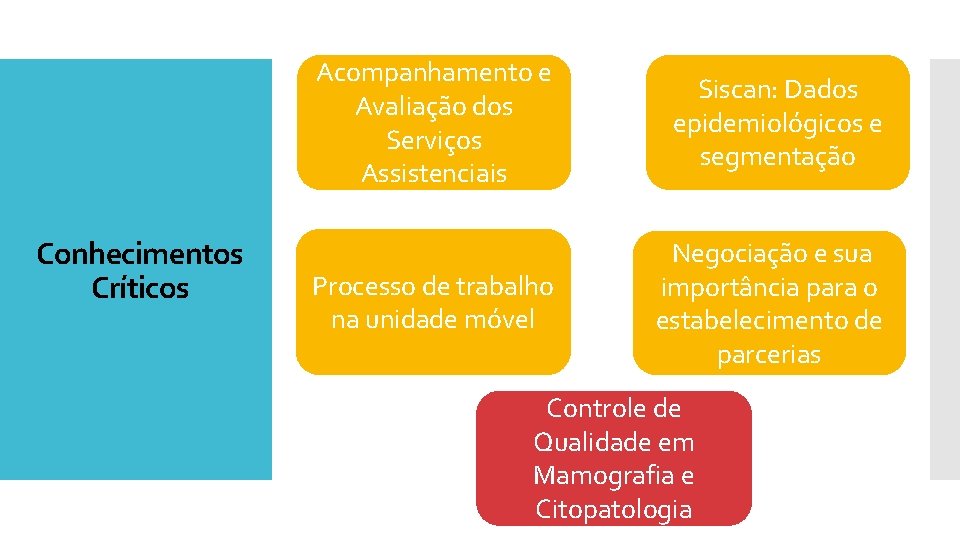 Conhecimentos Críticos Acompanhamento e Avaliação dos Serviços Assistenciais Siscan: Dados epidemiológicos e segmentação Processo